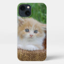 Search for blue eyed iphone cases Cat