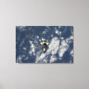 Search for space shuttle endeavour canvas prints Payload