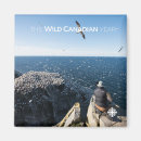 Search for documentary magnets The wild canadian year