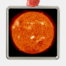 Search for activity christmas tree decorations Outdoors