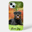 Search for rottweiler dog iphone cases Dogs