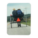 Search for amish magnets Buggy