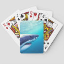 Search for shark playing cards Wildlife