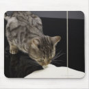 Search for floor mouse mats Nature