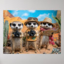 Search for cameras posters Cute