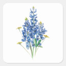 Search for bluebonnet stickers Watercolor