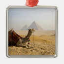 Search for dave bartruff Middle east