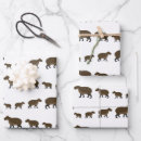Search for rodent wrapping paper Capybara