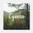 Search for cymru magnets Welsh
