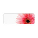 Search for gerbera daisy return address labels Botanical