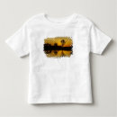 Search for billabong tshirts David