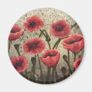 Search for stationary magnets Flowers