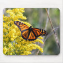 Search for flower spot electronics Orange