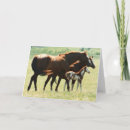 Search for gelding cards Pony