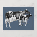 Search for cow postcards Milk