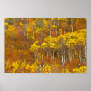 Search for quaking posters Autumn