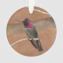Search for hummingbird christmas tree decorations Pretty