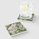 Search for apple coasters Orchard