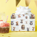 Search for raccoon birthday Cute woodland animals