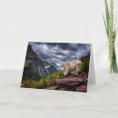 Search for mountain goat cards Montana