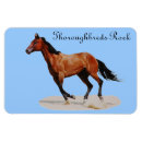 Search for thoroughbred magnets Equine
