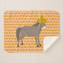 Search for donkey blankets Mexican