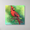 Search for red cardinal bird canvas prints Green