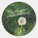 Search for dandelion wish stickers Make a wish