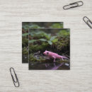 Search for down business cards Wildlife