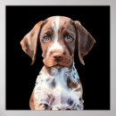 Search for cute illustration posters Pet