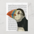 Search for puffin vertical postcards Birds