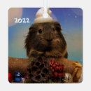 Search for guinea pig christmas tree decorations Rodent