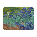 Search for iris magnets Vincent van gogh