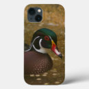 Search for wild duck iphone cases Wildlife