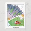 Search for vintage fish postcards Australia