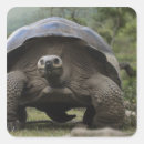 Search for galapagos islands stickers Pete oxford