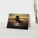 Search for sunset cards Equine