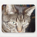 Search for vets mouse mats Pets