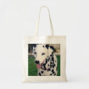 Search for upload bags Pet