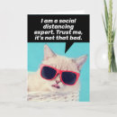 Search for expert cards Cat