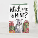 Search for which cards Dog