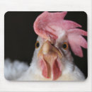 Search for hens mouse mats Funny