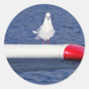 Search for seagull stickers Water