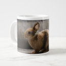 Search for dwarf mugs Rabbit