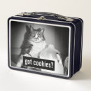 Search for funny lunch boxes Humor