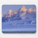 Search for cold winter mouse mats Fog