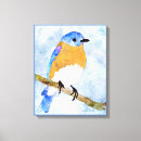 Search for avian canvas prints Aviary