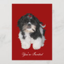 Search for tzu invitations Shih