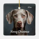 Search for weimaraner christmas tree decorations Watercolor