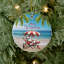 Search for sunglasses christmas tree decorations Palm trees